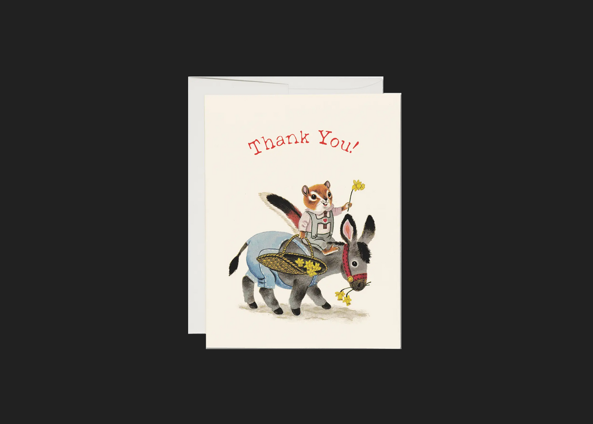 Chipmunk and Donkey