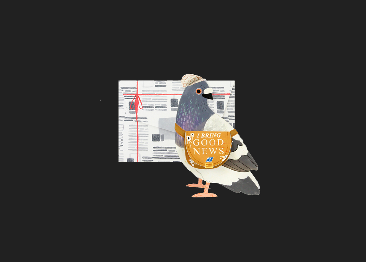 Messenger Pigeon