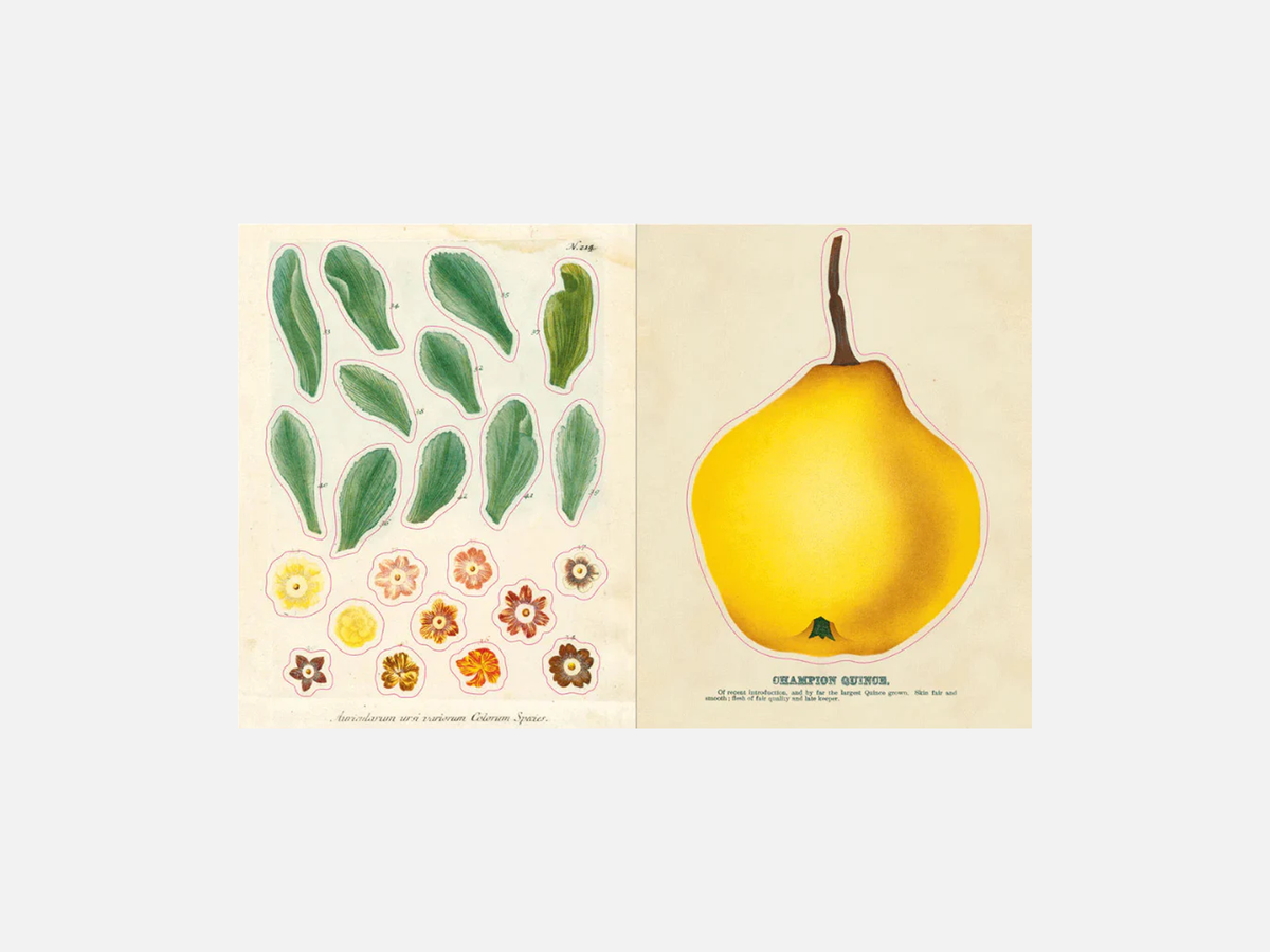John Derian Sticker Book I