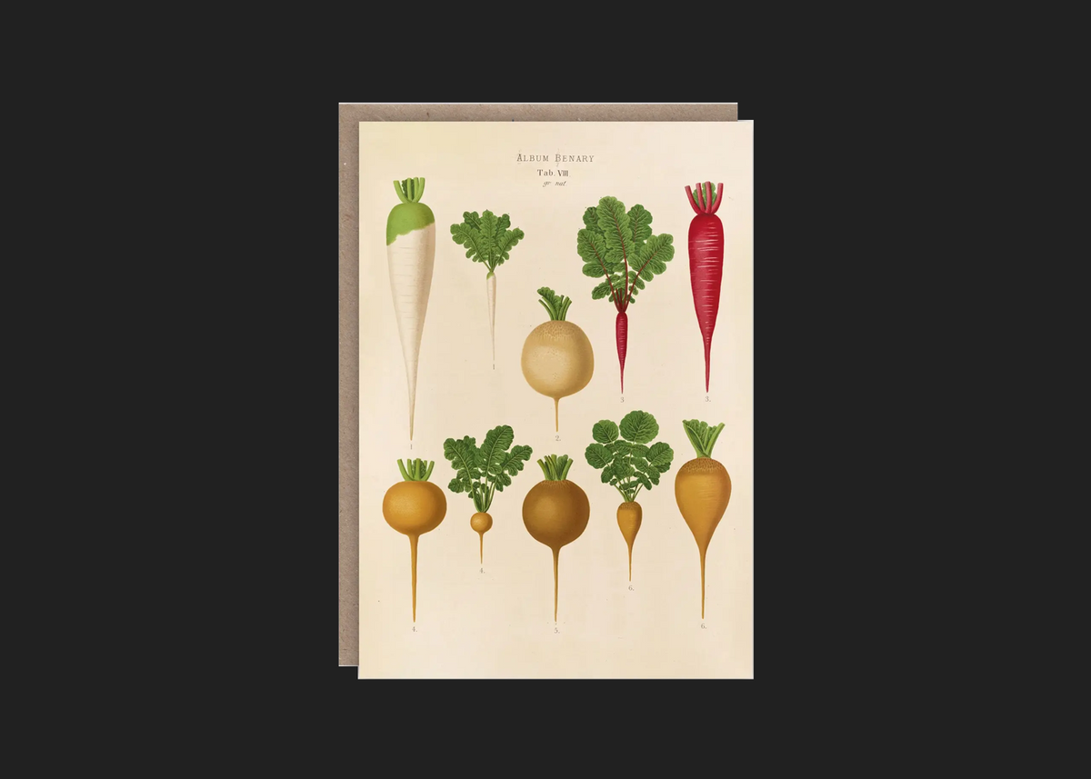 Radishes