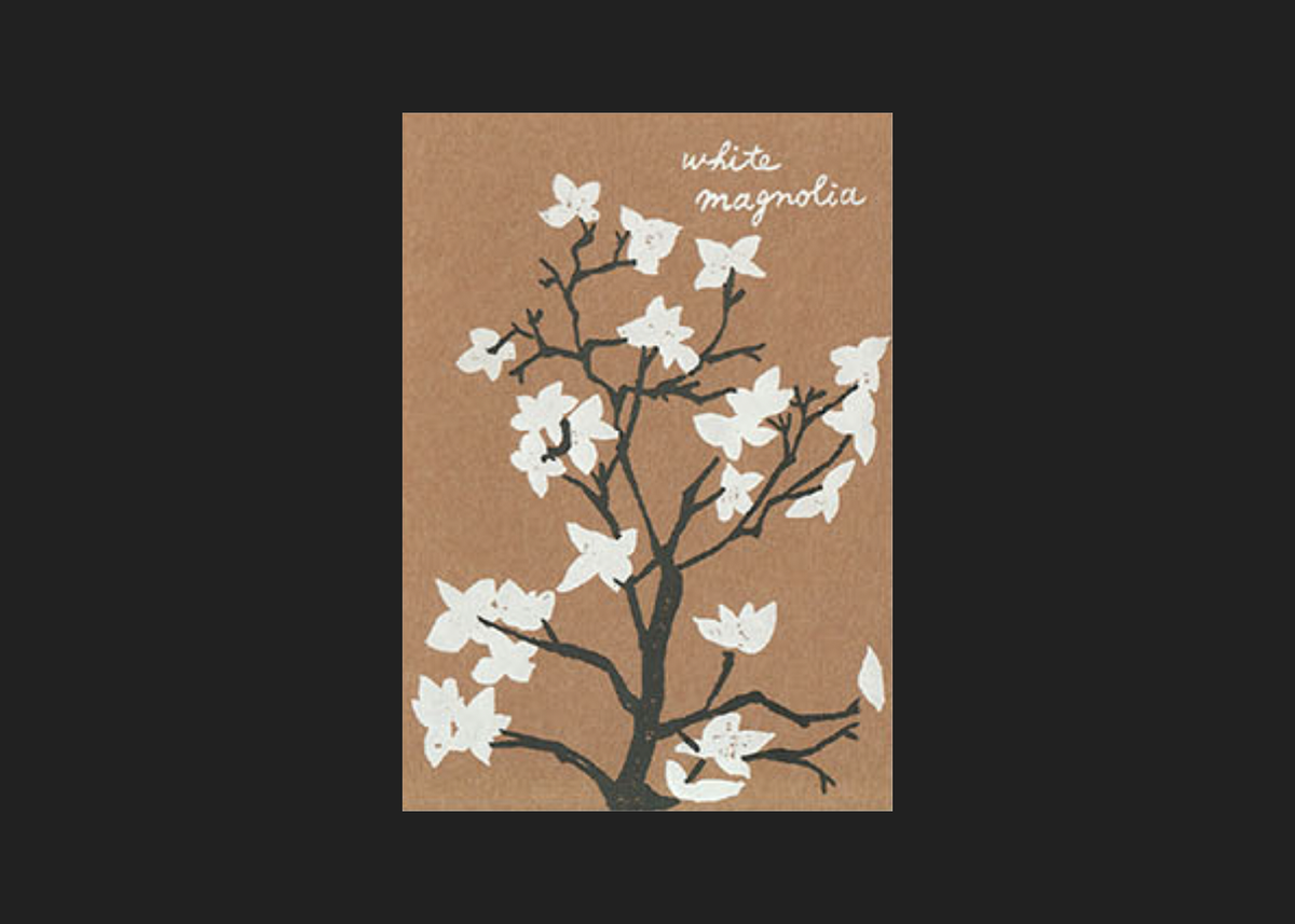 White Magnolia